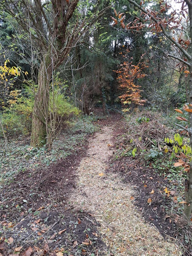 stichtingannettevanramselaar december2025 1