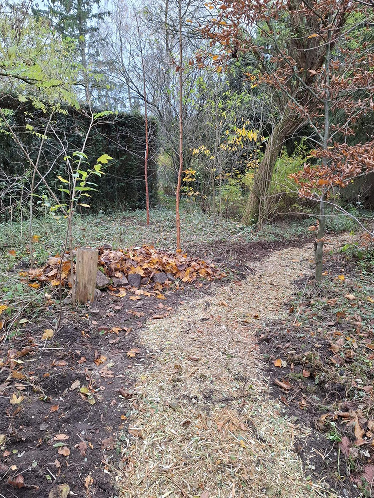 stichtingannettevanramselaar december2025 3