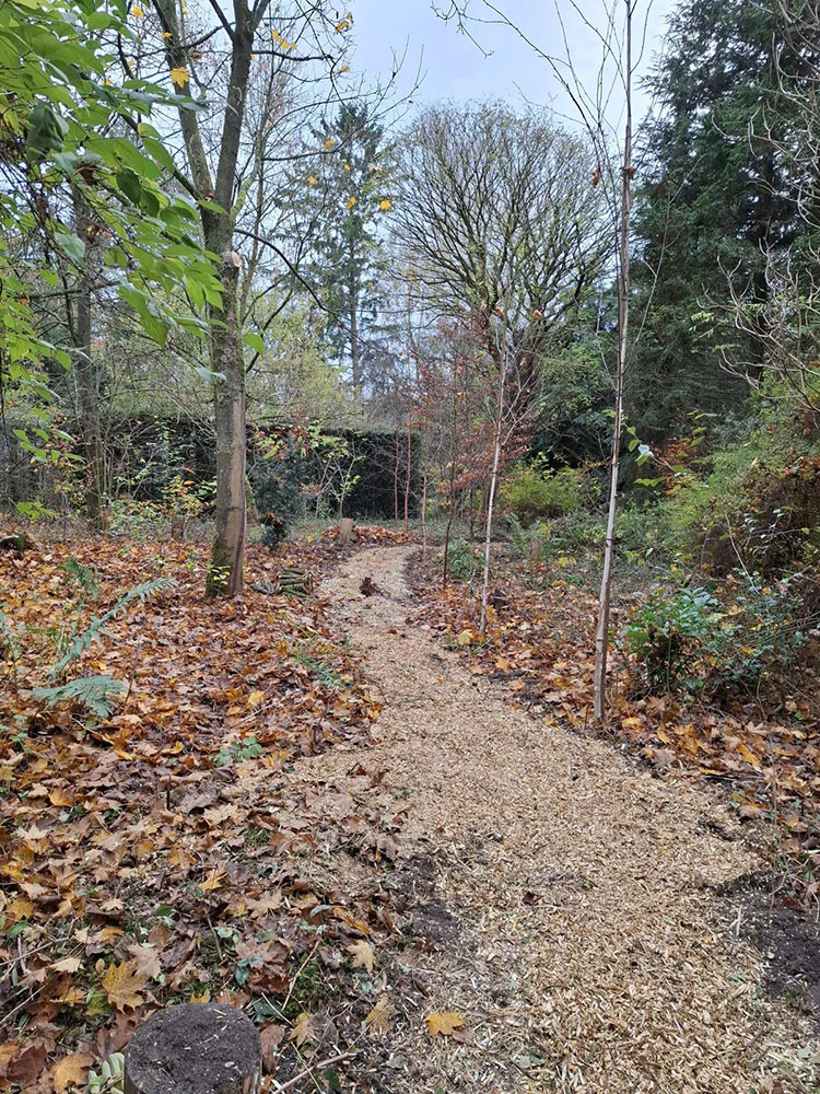 stichtingannettevanramselaar december2025 5