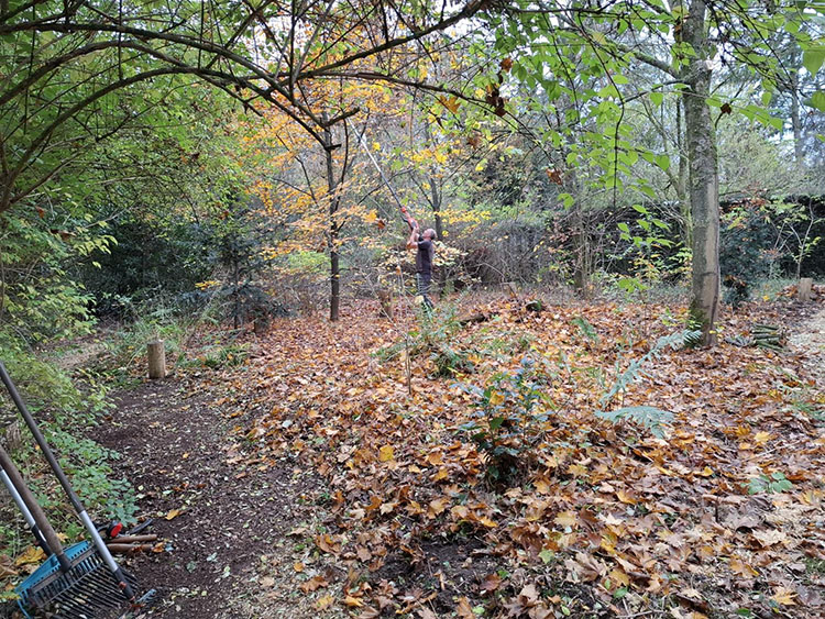 stichtingannettevanramselaar december2025 7